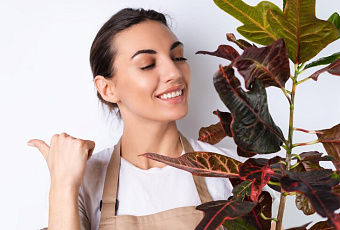 Растения реагируют на музыку: увядают от душераздирающей трубы и цветут  под нежные звуки скрипки. Значит, у них есть нервы?