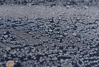 Морозы до -32 градусов ожидаются на юге России в ночь на 4 февраля