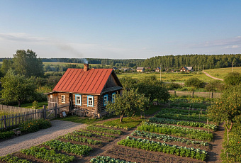 Дачная амнистия в России может быть продлена до 2031 года