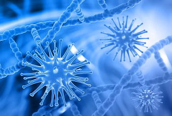 Российские учёные создали метод анализа бактериальных биоплёнок с помощью ИИ и микроскопии