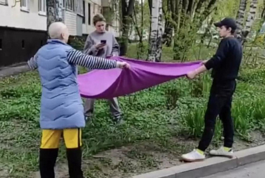 Москвичи спасли застрявшего на дереве кота и попали на видео