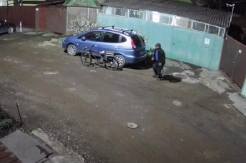 Забросал камнями: жестокая атака живодера на уличных собак попала на видео