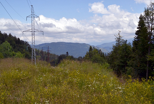 «Россети Кубань» повысила надежность ключевой ЛЭП в Апшеронском районе  