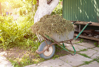 Советы дачникам: Как избавиться от травы между плит дорожки
