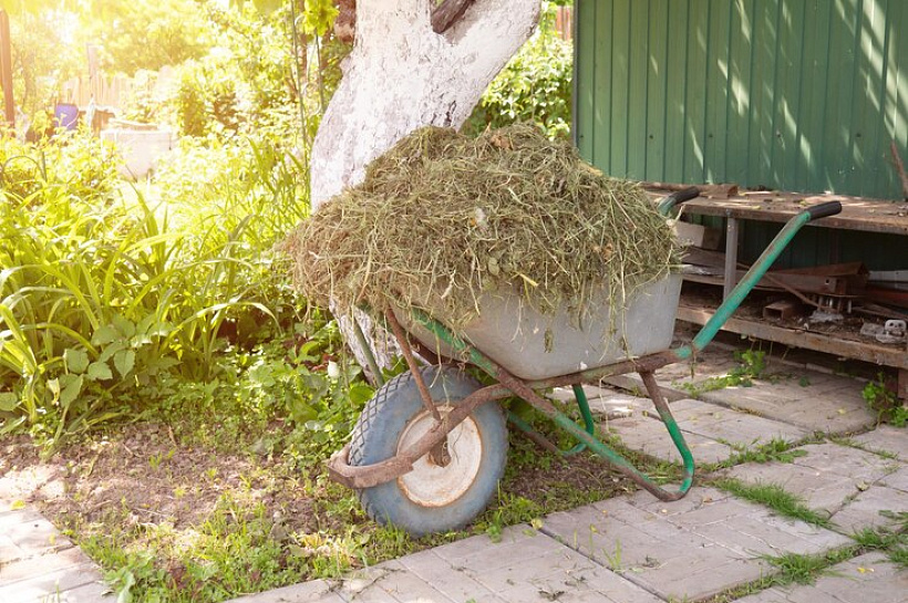 Советы дачникам: Как избавиться от травы между плит дорожки