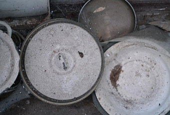 Синдром Плюшкина: что такое хординг и как справиться с патологическим накопительством