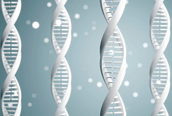 В Японии впервые в мире частично одобрили препарат от болезни Паркинсона на основе iPS-клеток