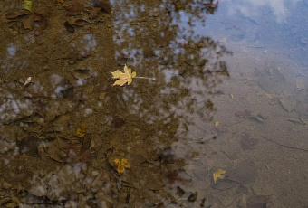 Мощное похолодание обрушится на Краснодарский край в конце недели