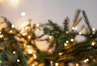 Юрист предупредил о штрафах за украшение подъезда без согласия соседей