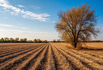 Северный антициклон принесет в Краснодарский край сухую погоду