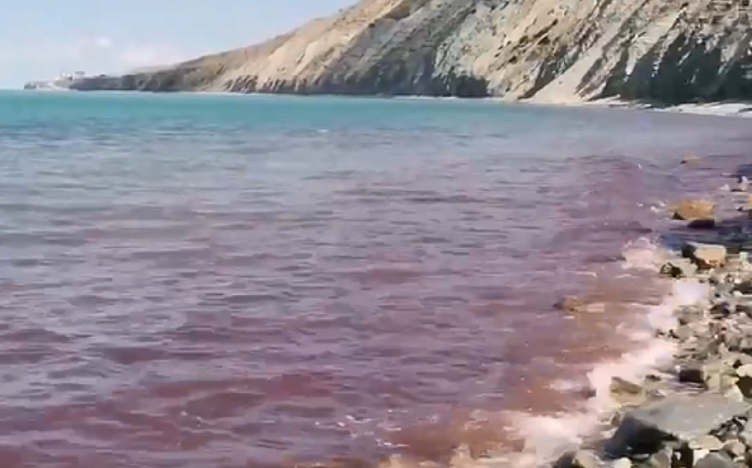 «Красный прилив»: море под Анапой окрасилось в неестественный цвет