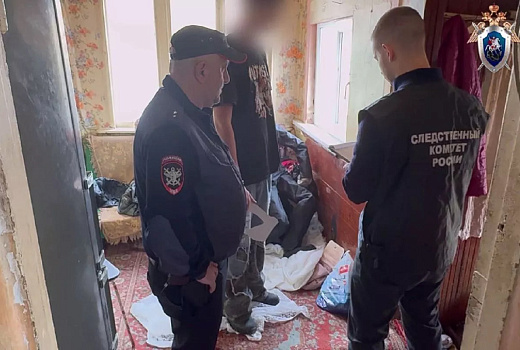 Подросток на Кубани обвиняется в убийстве бабушки с помощью топора