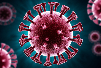 Ученые Сеченовского университета нашли связь COVID-19 и остеонекроза