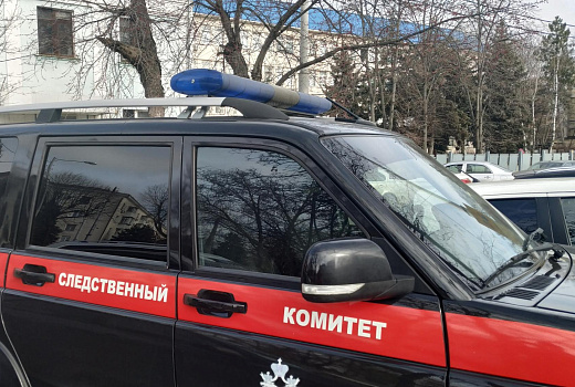 В поселке под Новосибирском подростки пытались поджечь людей на улице