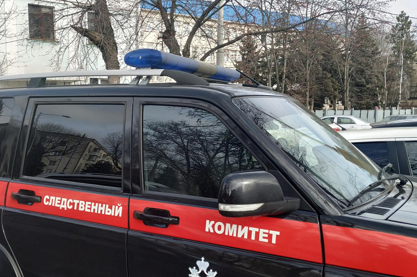 В поселке под Новосибирском подростки пытались поджечь людей на улице