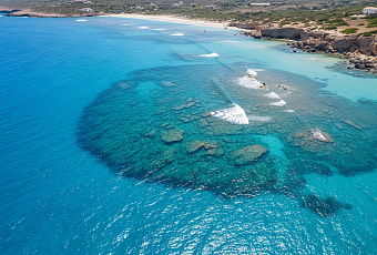 Средиземное море достигло критической точки: рекордный нагрев и утрата видов