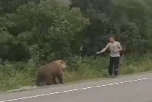 Мужчина решил покормить медведя из своих рук