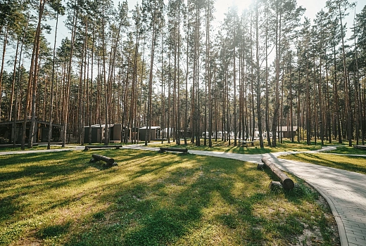Парк в поселке Центральном преображается: тренажёры, воркаут-зоны и озеленение