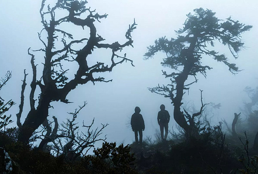 Konami планирует выпускать по одной игре Silent Hill ежегодно после 2025 года