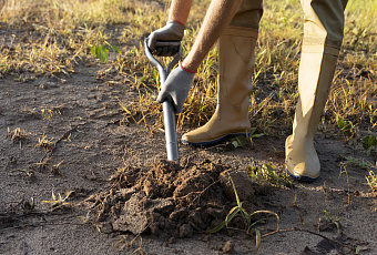 Зимняя забота о почве: огород тоже нужно готовить к холодам