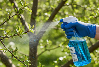 Медный и железный купорос: сроки и правила применения в саду