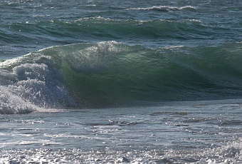 Температура воды в Сочи упала до +19°C за сутки на фоне похолодания