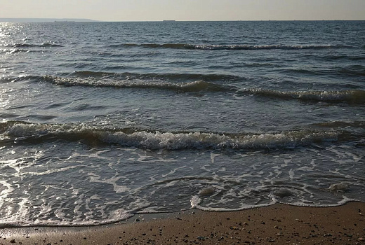 Ученые исследуют запасы осетра и камбалы-калкан в Азовском море