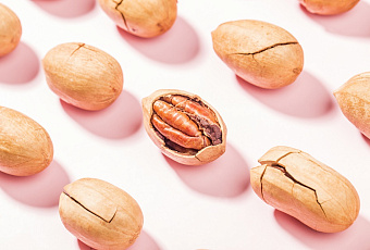 Как грецкий, только лучше: орех, который сохраняет молодость