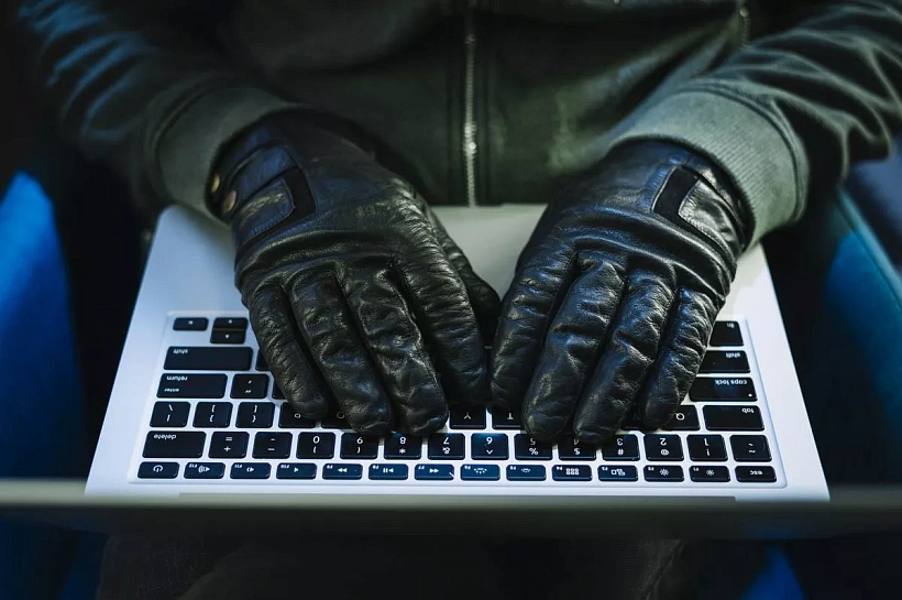 В Краснодаре стало меньше IT-преступлений — ущерб сократился на 1 млрд рублей
