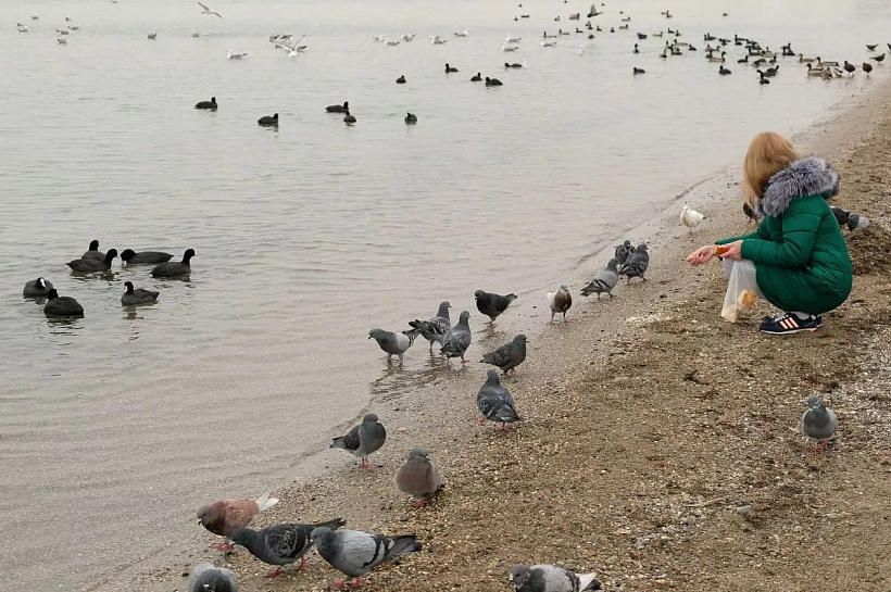 Температурный рекорд 30 ноября в Анапе завершил аномально теплый месяц