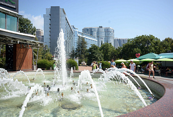 Бархатный сезон в Сочи: есть ли места в отелях и сколько стоит отдых