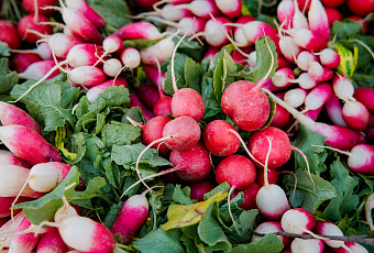 Витаминная бомба: врач перечислила самые полезные весенние продукты