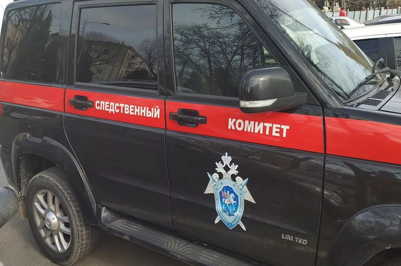 СКР возбудил уголовное дело после нападения бездомной собаки на женщину в Краснодаре
