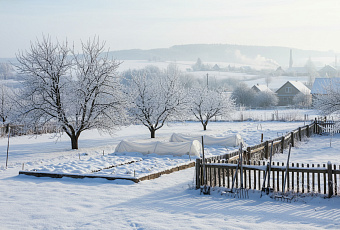 Что нельзя делать на участке зимой, чтобы не потерять урожай