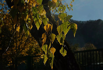 Аномальное тепло до +23 градусов вернется в Краснодарский край