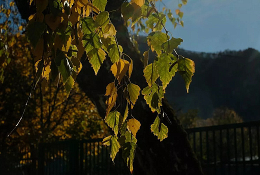 Аномальное тепло до +23 градусов вернется в Краснодарский край