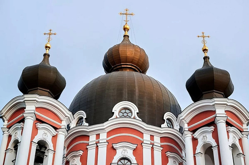  РПЦ поддержала запрет на вывоз эмбрионов и яйцеклеток за границу