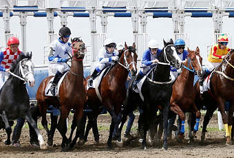 В Краснодаре на скачках на Кубок губернатора разыграют 3 млн