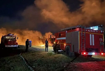 Площадь пожара в плавнях под Анапой сократилась до 0,5 га