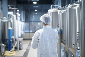 Ученые Кубани разрабатывают новое оборудование для пищевой промышленности