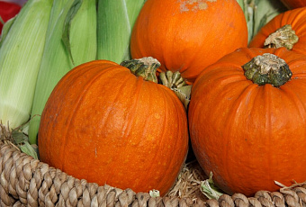 Быстро и вкусно: назван идеальный овощ для похудения