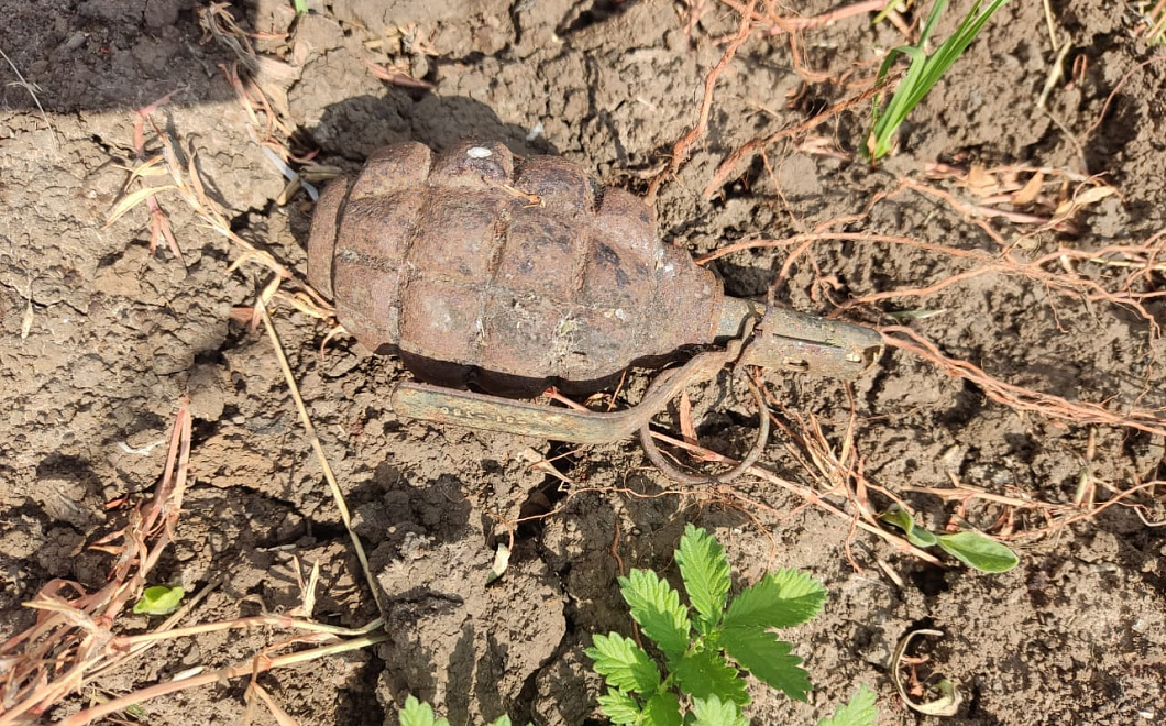 На улице Сормовской в Краснодаре нашли гранату Ф-1