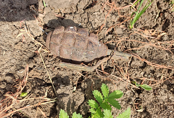 На улице Сормовской в Краснодаре нашли гранату Ф-1