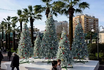 Сочи, Краснодар и Красная Поляна вошли в топ-10 для автотуризма в декабре