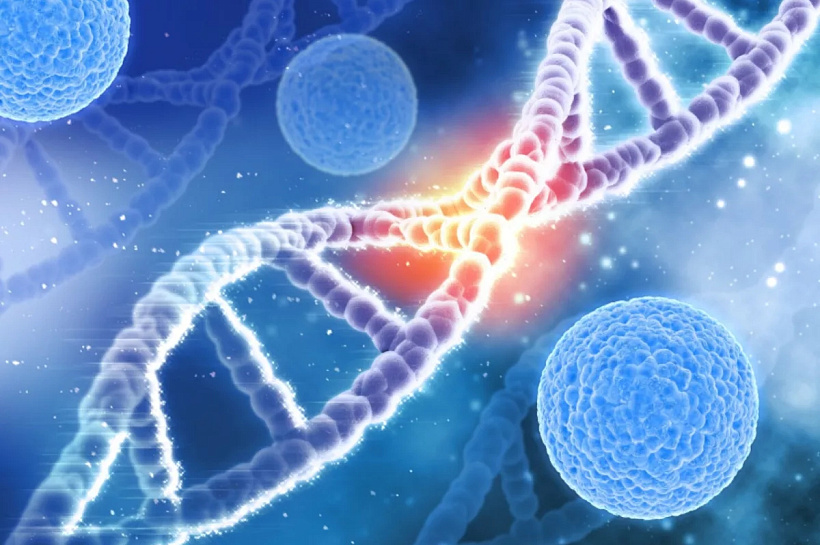 Ученые ВШЭ раскрыли новое свойство микро-РНК, ускоряющей развитие рака простаты