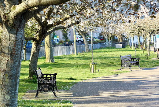 Скверы, детские площадки и бесплатные парковки: что построят на месте снесенных гаражей в Краснодаре