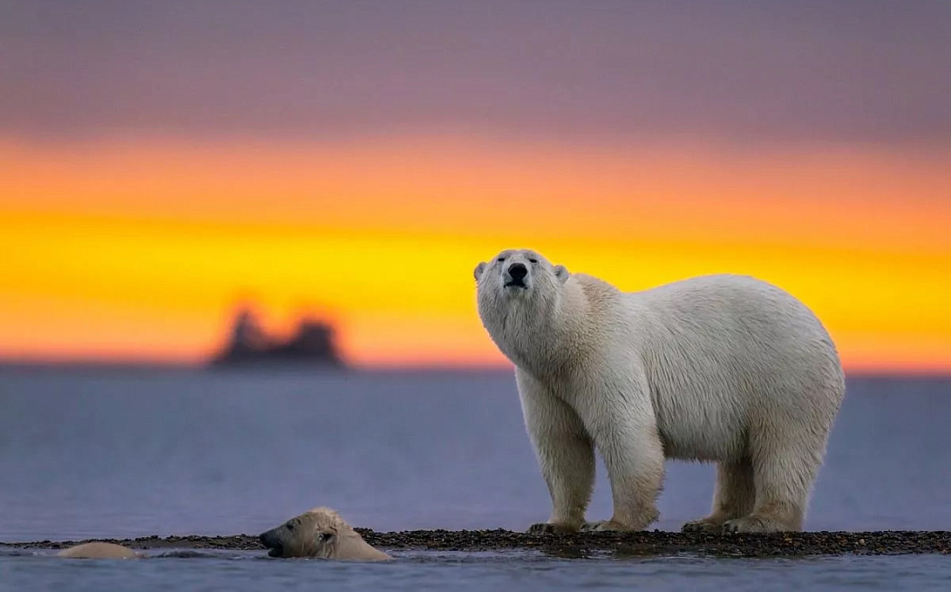 Фёдор Конюхов создаст первую в мире одиночную станцию в Антарктиде