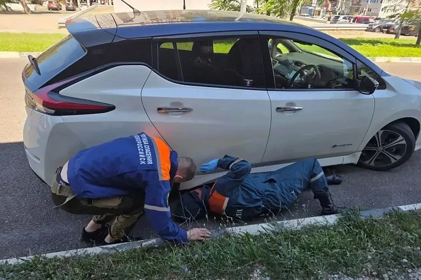 Спасатели вызволили застрявшего котенка из днища автомобиля в Новороссийске