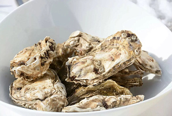 Ученые нашли способ укрепить иммунитет устриц в Черном море