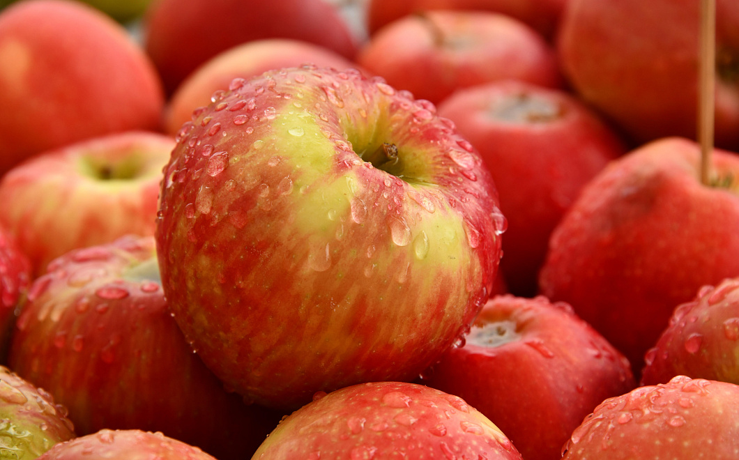 Онколог рассказала о пользе яблок для профилактики рака